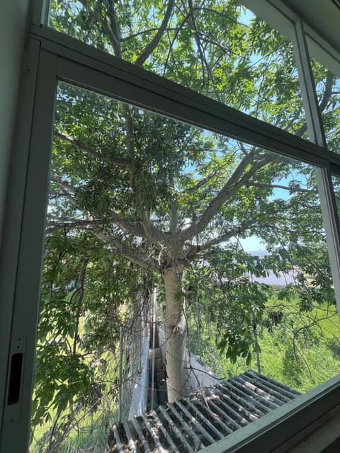 Almera Vallarta Hotel Suites, 