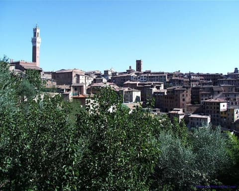 Bed & Breakfast Camollia, 