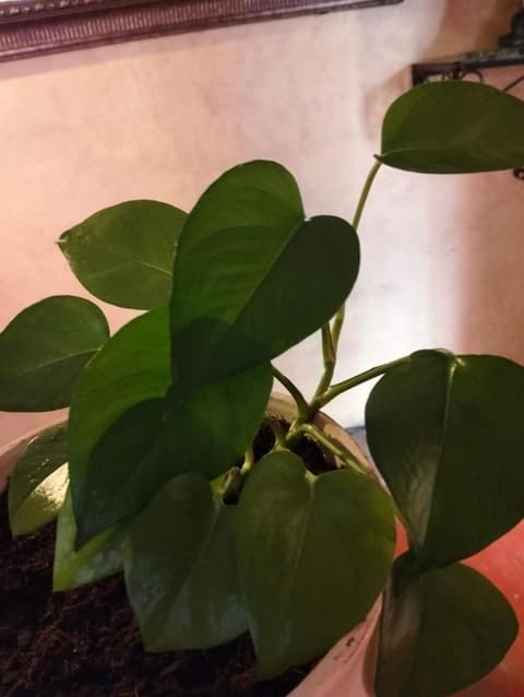 Hotel Antigua Casa de Piedra, 