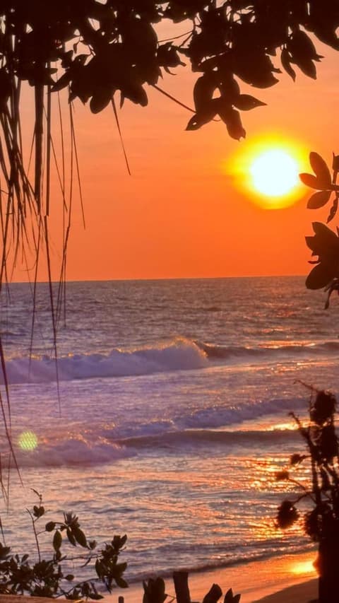 El Chiringuito, Mermejita, 