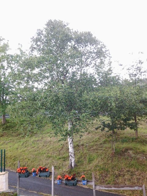 Casa Rural Ecológica Arrizurieta, 