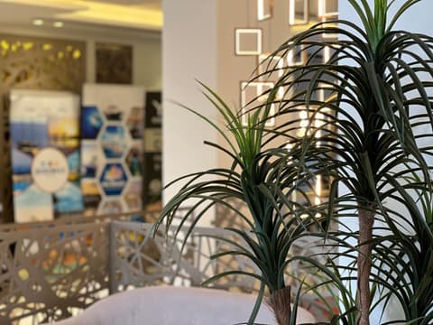 Mass Paradise Hotel, 