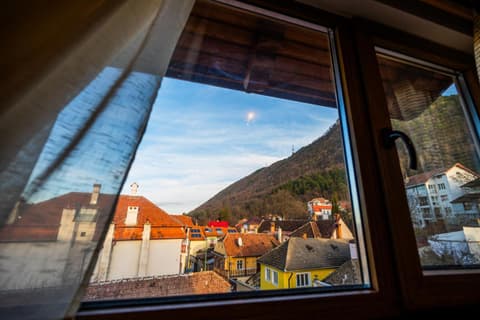 Pension Brasovu Vechi, 