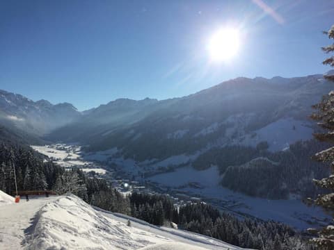 Appartementhaus Elmo Viehhauser KG, 