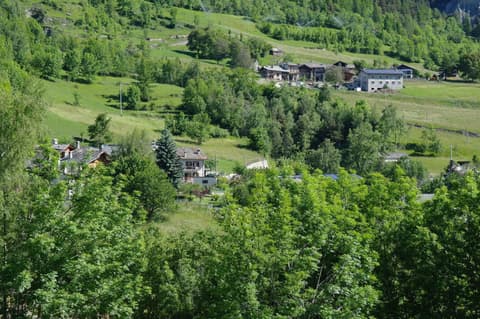 Le Vieux Noyer - Appartamenti al Verde villaggio di Rumiod, 