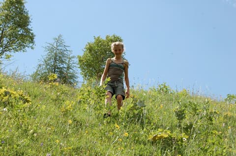 Gästehaus Pension Edelweiss, 