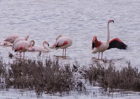 Holiday Home El Patio, 