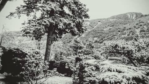 Hotel Regina Delle Dolomiti, 