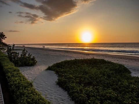 Northern Paradise, court séjour