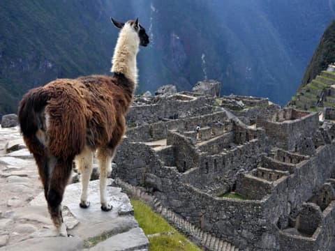 Inca Journey, Private Tour