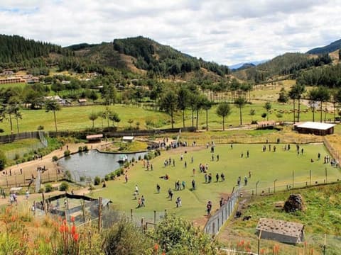 Cajamarca, Colonial Syncretism - Private tour