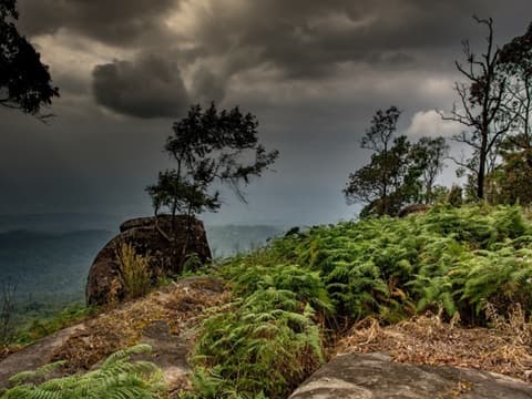 Visite privée du Nord de l'Isaan et du Mékong