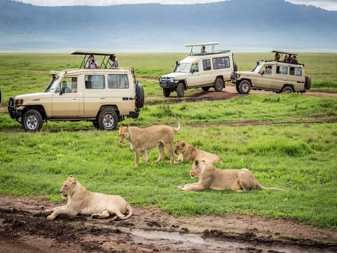 Kifaru Safari, Serena Lodges - Private Tour