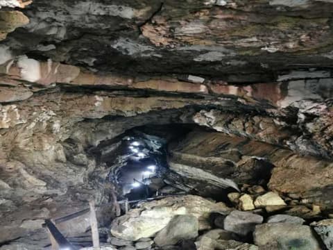 6 Días de Escapada a las Galápagos: Senderos Volcánicos y Encuentros con la Vida Silvestre