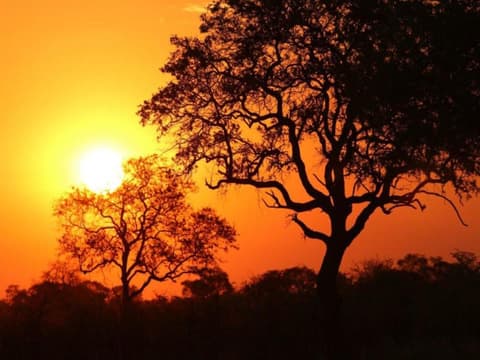 Etosha-Safari-Abenteuer, Selbstfahrer