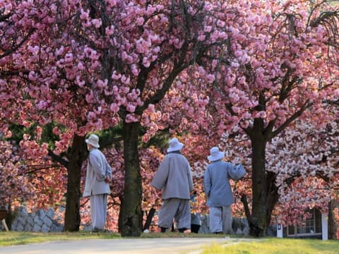 Circuit individuel : La Corée essentielle