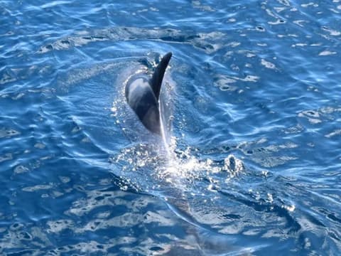 Gran Canaria Essenza del Sud
