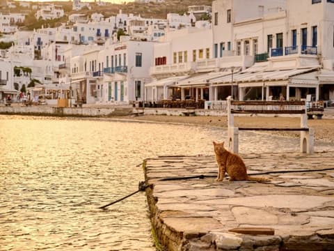 Combiné Athènes et 2 îles : Paros et Mykonos 4*