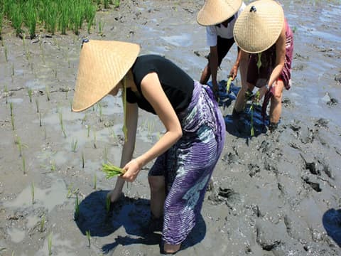 Bali Local Farming (Pranzo Incluso)