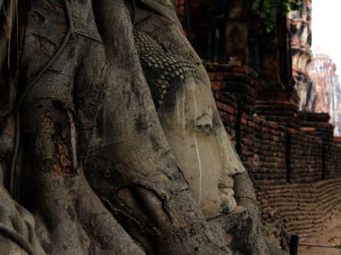 O1. Thaïlande à la folie