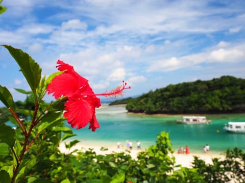 Paradiso Giapponese : Tokyo, Kyoto, Osaka e le spiagge di Okinawa 4*