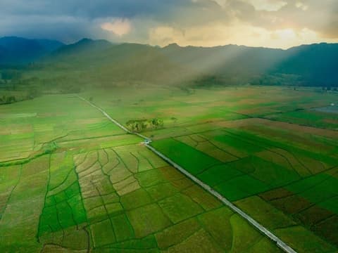 Selogriyo Hidden Temple & Borobudur