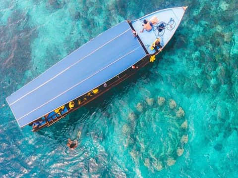 Natural Aquarium Tour (3 Gili Islands) - Pranzo incluso