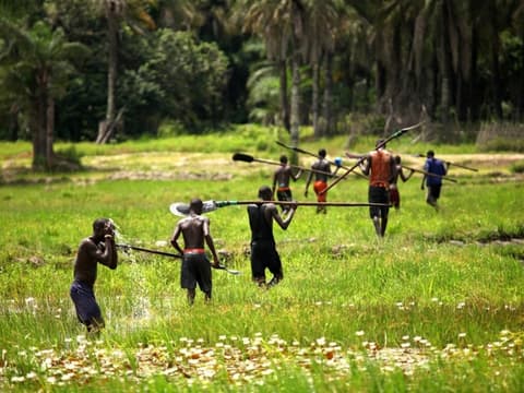 Casamance, Des Iles Et Des Hommes