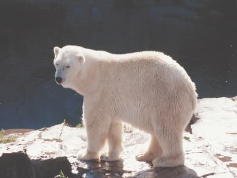 Balade au fil du Saint-Laurent