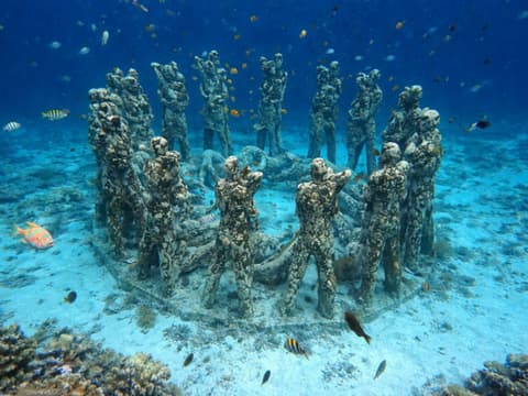 Natural Aquarium Tour (3 Gili Islands) - Pranzo incluso