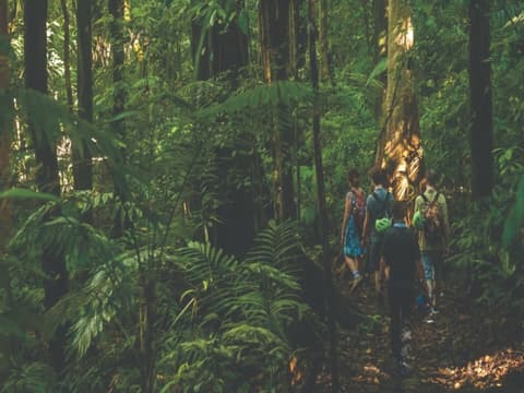 Extension to Puerto Jimenez, South Pacific / 4 nights