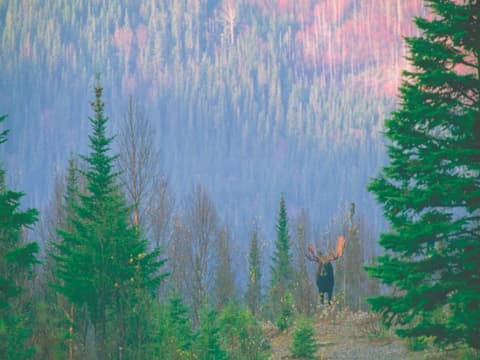 Le Québec Côté Mer avec location de voiture