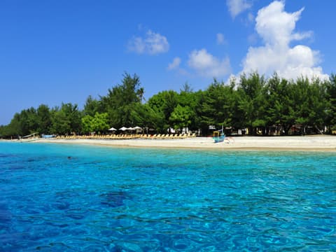 Natural Aquarium Tour (3 Gili Islands) - Pranzo incluso