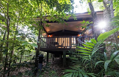 Thala Beach Nature Reserve, 