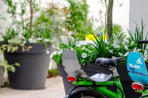 The White House Hotel at Dizengoff Square, 