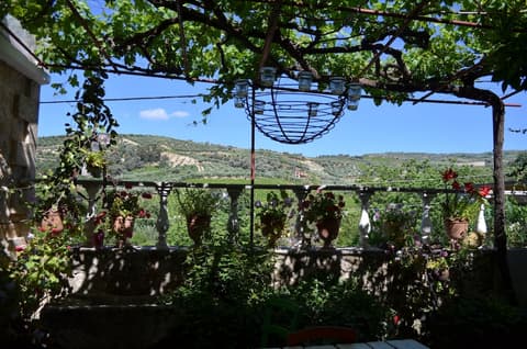 Viglatoras Traditionals Apartments, 