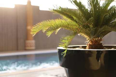 SOMEWHERE BLISS HOTEL AL AHSA, 