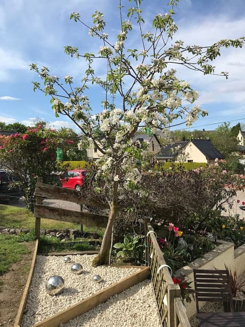 BEN NEVIS GUEST HOUSE, 