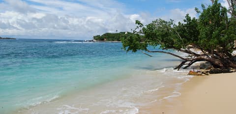 240042 - Praias do Sri Lanka