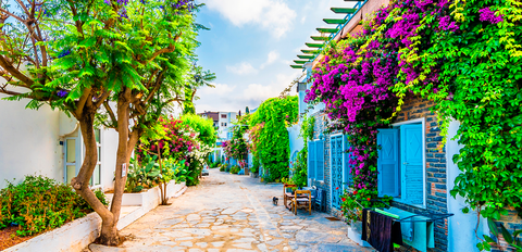 250087 - Turquia: Bodrum