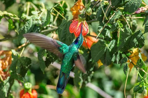 Hotel Taypikala Cusco, Vending Machine