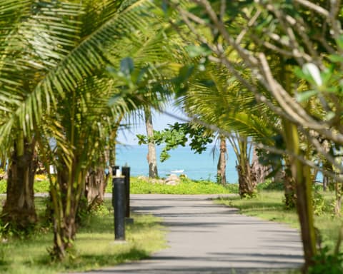 Khaolak Bhandari Resort & Spa , 