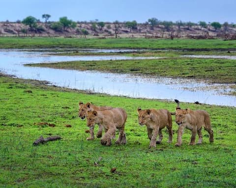 Migration Mission Day Trip (Dep: 06h00)