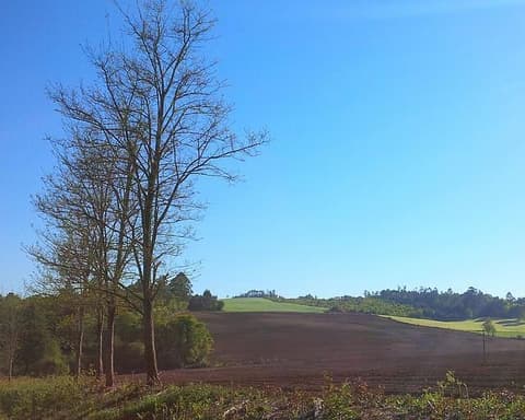 Camino de Santiago - Camino Francés a Pie