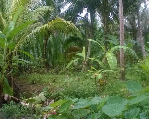 Circuit Jet tours Signature - Sud Vietnam et Haut Plateau