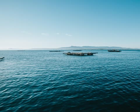Vacaciones ECO: Galicia Rías Bajas (sin transporte)