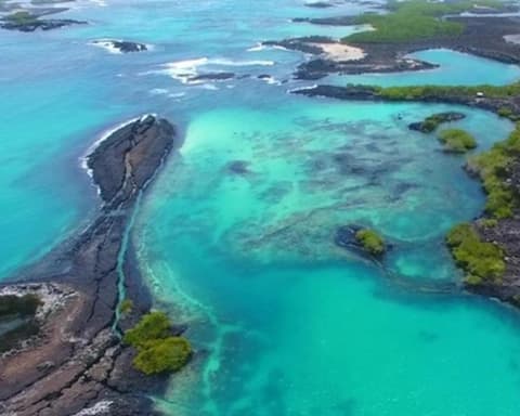 Full Galapagos Island / 9 days