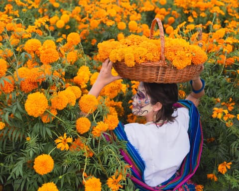 México en Día de Muertos
