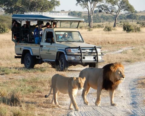 Camping Safari "16 Tage Botswana"
