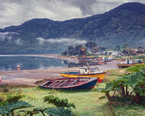 Black - Bloqueo Carretera Austral Norte 6 Noches Via SKY